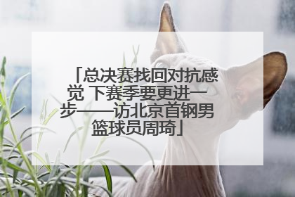 总决赛找回对抗感觉 下赛季要更进一步——访北京首钢男篮球员周琦