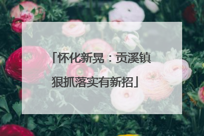 怀化新晃：贡溪镇狠抓落实有新招