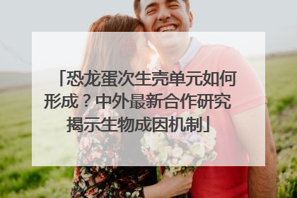 恐龙蛋次生壳单元如何形成？中外最新合作研究揭示生物成因机制