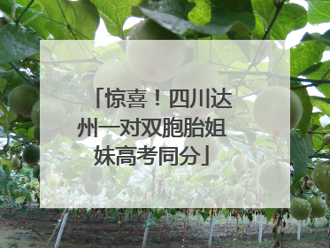 惊喜！四川达州一对双胞胎姐妹高考同分