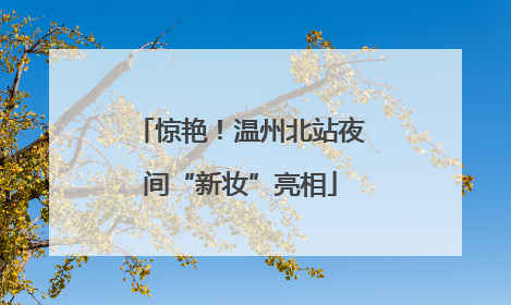 惊艳！温州北站夜间“新妆”亮相