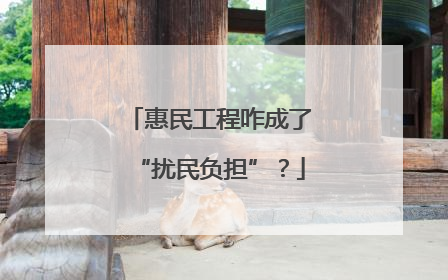 惠民工程咋成了“扰民负担”？