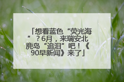 想看蓝色“荧光海”？6月，来瑞安北麂岛“追泪”吧！《90早新闻》来了