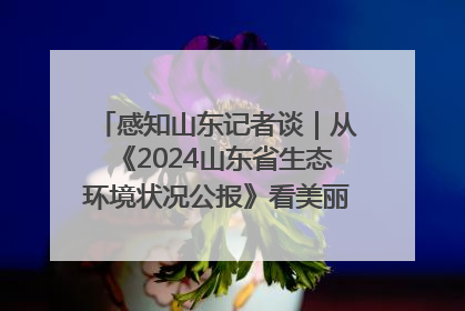 感知山东记者谈｜从《2024山东省生态环境状况公报》看美丽山东建设的“成绩单”与“任务书”