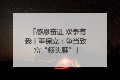 感恩奋进 双争有我丨董保立：争当致富“领头雁”