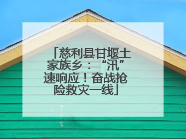慈利县甘堰土家族乡：“汛”速响应！奋战抢险救灾一线