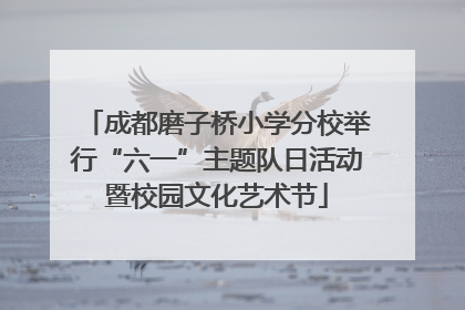成都磨子桥小学分校举行“六一”主题队日活动暨校园文化艺术节