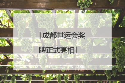 成都世运会奖牌正式亮相