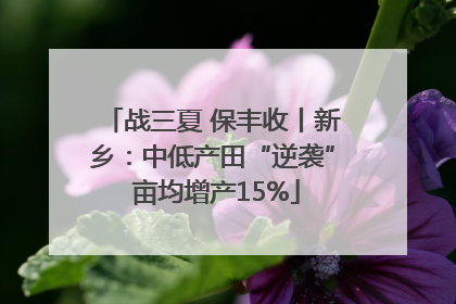 战三夏 保丰收丨新乡：中低产田“逆袭” 亩均增产15%