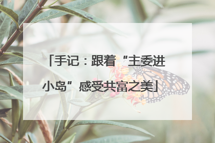 手记：跟着“主委进小岛”感受共富之美