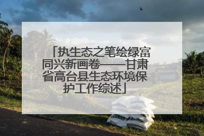执生态之笔绘绿富同兴新画卷——甘肃省高台县生态环境保护工作综述