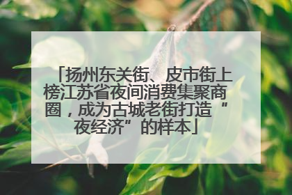 扬州东关街、皮市街上榜江苏省夜间消费集聚商圈，成为古城老街打造“夜经济”的样本