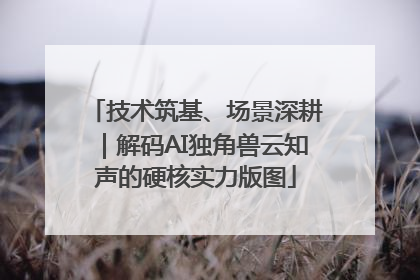 技术筑基、场景深耕｜解码AI独角兽云知声的硬核实力版图