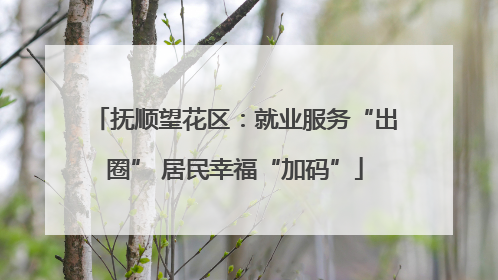 抚顺望花区：就业服务“出圈” 居民幸福“加码”