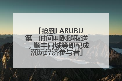 抢到LABUBU第一时间叫跑腿取送，顺丰同城等即配成潮玩经济参与者