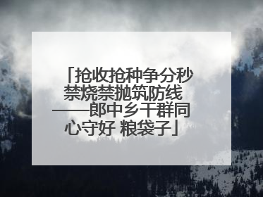 抢收抢种争分秒 禁烧禁抛筑防线——郎中乡干群同心守好 粮袋子