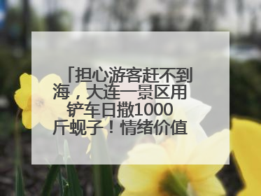 担心游客赶不到海，大连一景区用铲车日撒1000斤蚬子！情绪价值拉满！