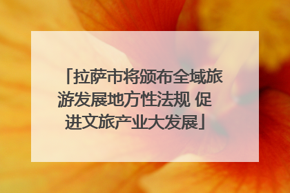 拉萨市将颁布全域旅游发展地方性法规 促进文旅产业大发展