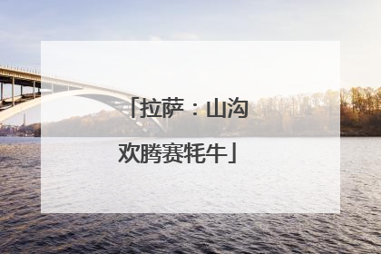 拉萨：山沟欢腾赛牦牛