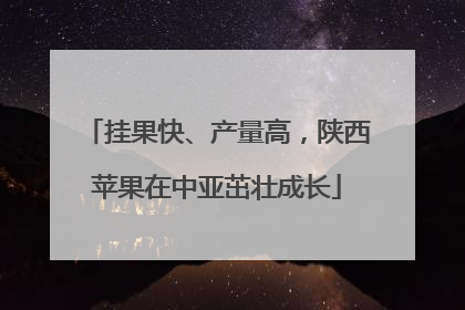 挂果快、产量高，陕西苹果在中亚茁壮成长