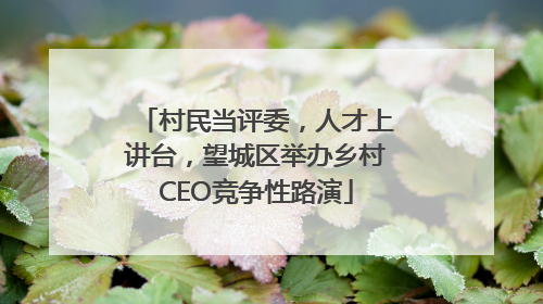 村民当评委，人才上讲台，望城区举办乡村CEO竞争性路演