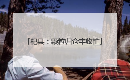 杞县：颗粒归仓丰收忙