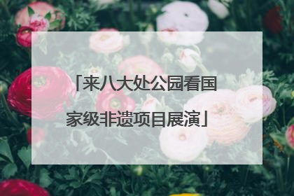 来八大处公园看国家级非遗项目展演
