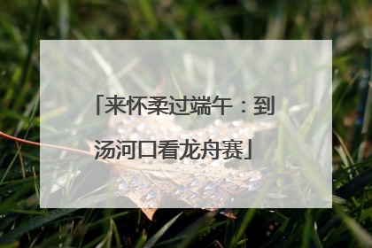 来怀柔过端午：到汤河口看龙舟赛