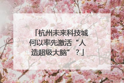 杭州未来科技城何以率先激活“人造超级大脑”？