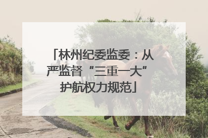 林州纪委监委：从严监督“三重一大” 护航权力规范