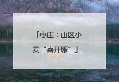 枣庄：山区小麦“喜开镰”