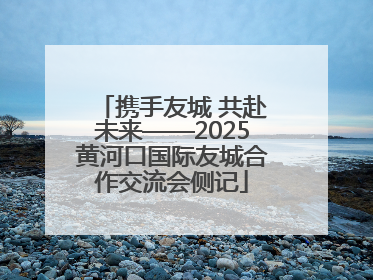 携手友城 共赴未来——2025黄河口国际友城合作交流会侧记