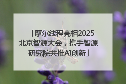 摩尔线程亮相2025北京智源大会，携手智源研究院共推AI创新
