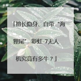 擅长隐身、自带“海狸尾” 彩虹-7无人机究竟有多牛？