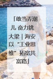 敢当弄潮儿 奋力挑大梁｜海安以“工业思维”拓宽共富路