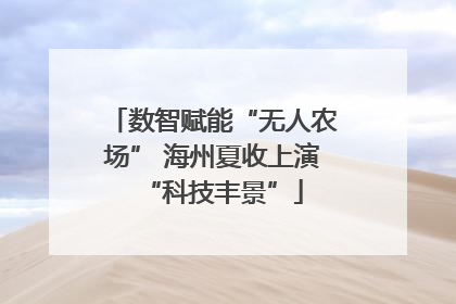 数智赋能“无人农场” 海州夏收上演“科技丰景”