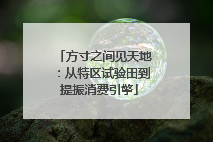 方寸之间见天地：从特区试验田到提振消费引擎