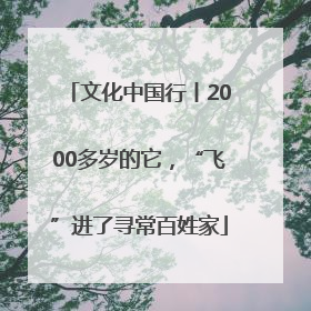 文化中国行丨2000多岁的它，“飞”进了寻常百姓家