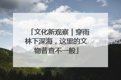 文化新观察｜穿雨林下深海，这里的文物普查不一般