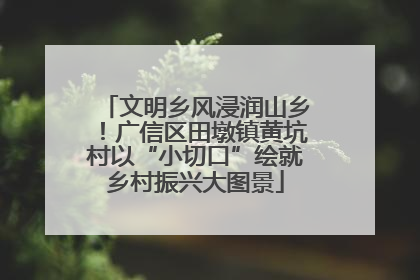 文明乡风浸润山乡！广信区田墩镇黄坑村以“小切口”绘就乡村振兴大图景