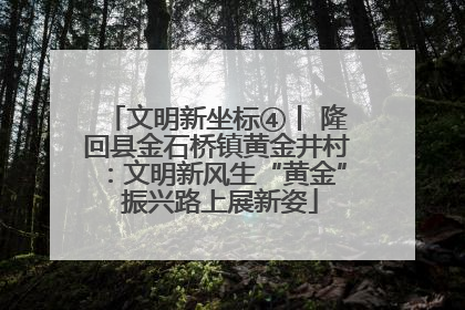 文明新坐标④丨 隆回县金石桥镇黄金井村：文明新风生“黄金” 振兴路上展新姿