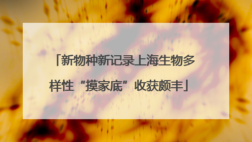新物种新记录上海生物多样性“摸家底”收获颇丰