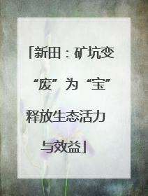 新田：矿坑变“废”为“宝” 释放生态活力与效益