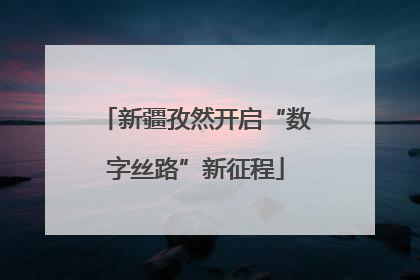 新疆孜然开启“数字丝路”新征程