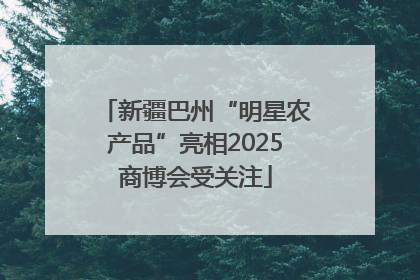 新疆巴州“明星农产品”亮相2025商博会受关注