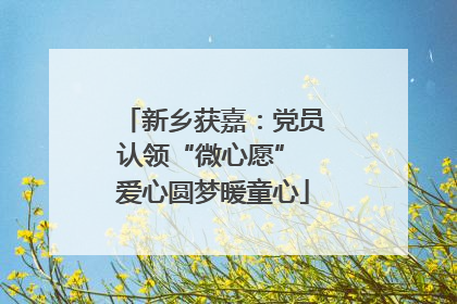新乡获嘉：党员认领“微心愿” 爱心圆梦暖童心