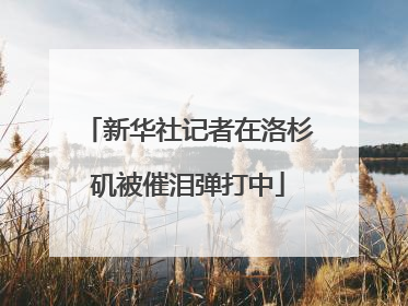 新华社记者在洛杉矶被催泪弹打中