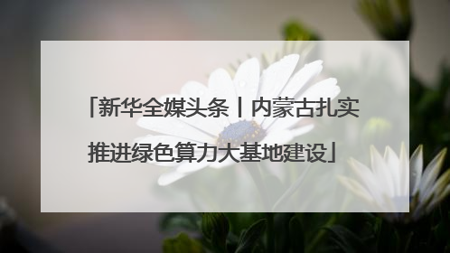 新华全媒头条丨内蒙古扎实推进绿色算力大基地建设