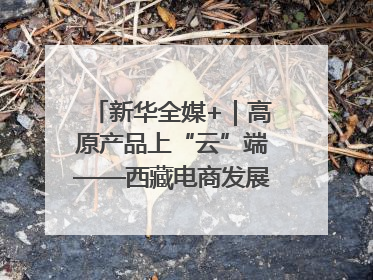 新华全媒+｜高原产品上“云”端——西藏电商发展一线观察