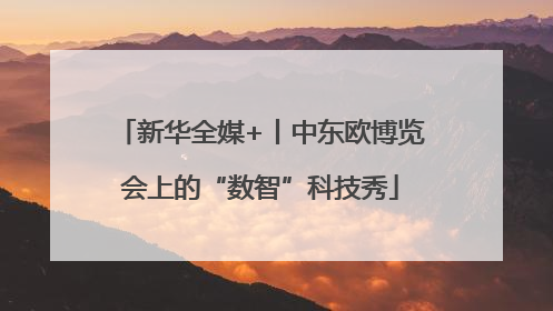 新华全媒+丨中东欧博览会上的“数智”科技秀
